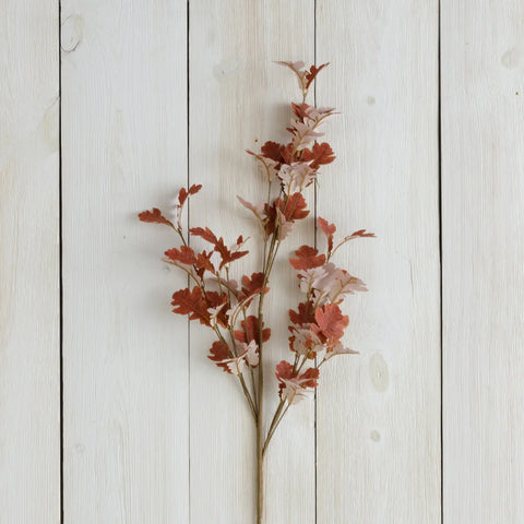 Brown Oak Leaves Branch