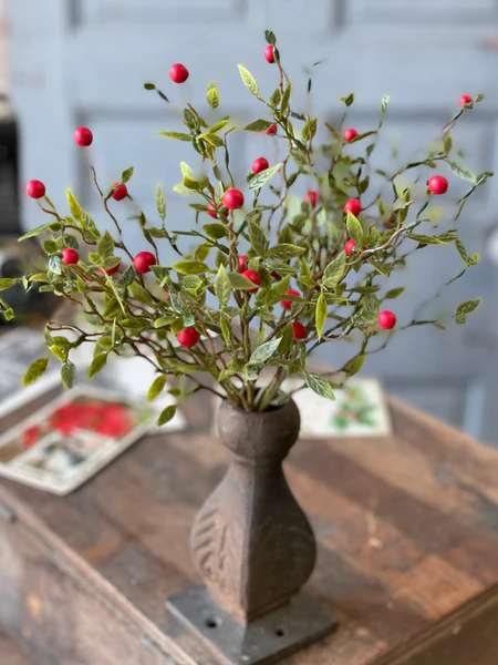 11” Blaze Berry Bush | Red