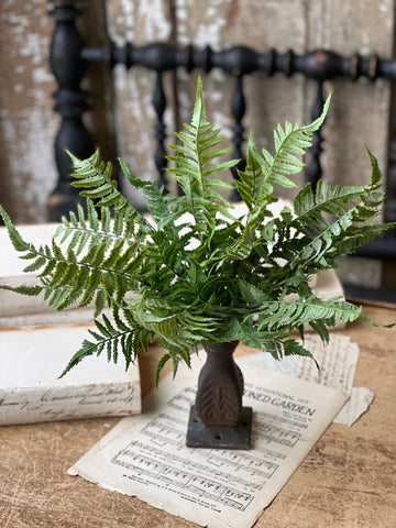 Ruffian Fern Bush | 16” | Shadow