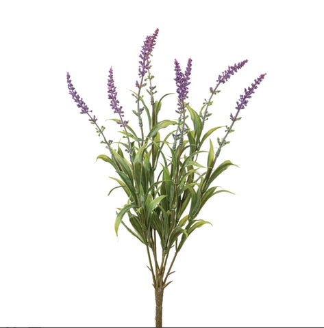 Lavender Bush Spray