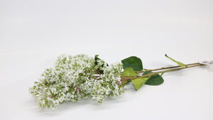 Wild Lilac - White