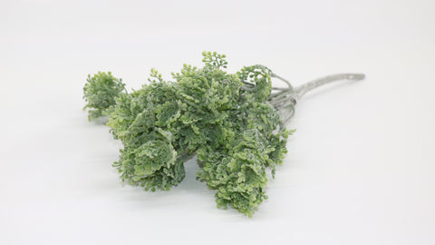 Parsley Stem