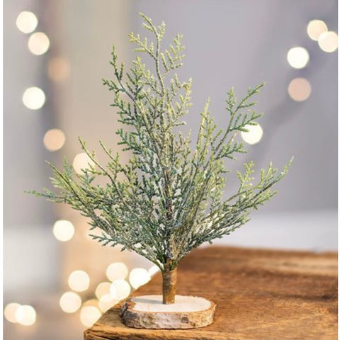 Frosted Cypress Tree